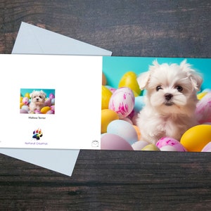 Niedliche MALTESER Osterkarte, Blanko Grußkarte, Welpe mit Ostereiern, Helle lebendige und bunte Karte, Geschenk für Hundebesitzer