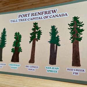 Port Renfrew - Tall Tree Capital of Canada - Carte postale / Impression d'art (4 x 6 po.) souvenir/Souvenir/Cadeau - Fabriqué sur l'île de Vancouver, Canada