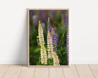 White Lupine Photography Print: Maine Floral Wall Art (Digital Download)