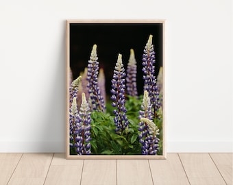 Dark Lupine Floral Photography Print: Maine Cottagecore Art (Digital Download)