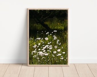 Wild Daisy Photo Print: Cottagecore Floral Wall Art (Digital Download)