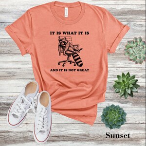 It Is What It Is T-Shirt