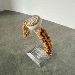 May include: A bracelet with a cream-colored cameo and a band of small, irregular, amber-colored beads. The cameo features a detailed relief carving. The bracelet is displayed on a clear, angled stand.