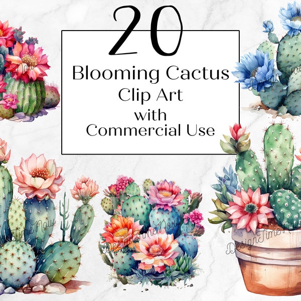 Watercolor Blooming Cactus Clipart | Digital Download | Succulent Clip Art | Commercial Use |  Transparent Clip Art PNG | Desert Cacti