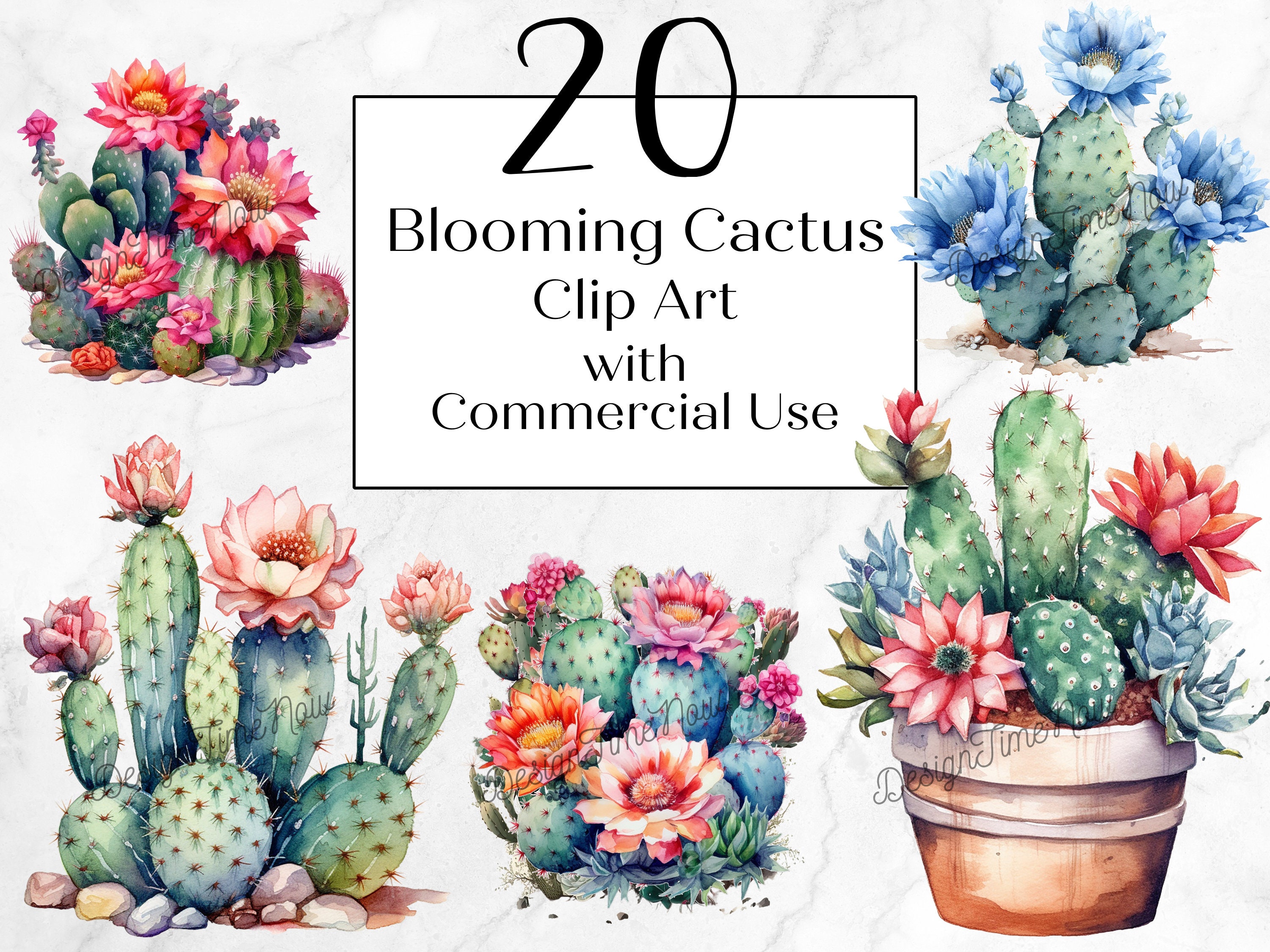 Watercolor Blooming Cactus Clipart | Digital Download | Succulent Clip ...