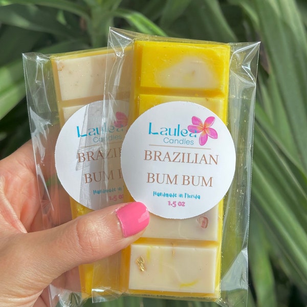 Brazilian Bum Bum Wax Melts| Soy Wax| Beach Decor Boho| Island Scented| Shell| Ocean| Tropical Gift| Pistacio| Coconut girl|For her| janeiro