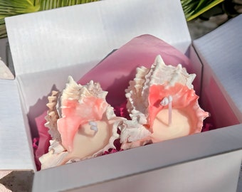 Juego de velas de concha de murex rosa