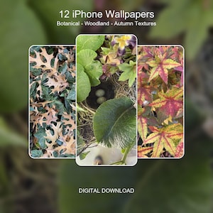 May include: A set of 12 iPhone wallpapers featuring botanical, woodland, and autumn textures. The digital download includes three vertical panels showing brown oak leaves, a bird nest with two eggs, and vibrant red and yellow maple leaves.