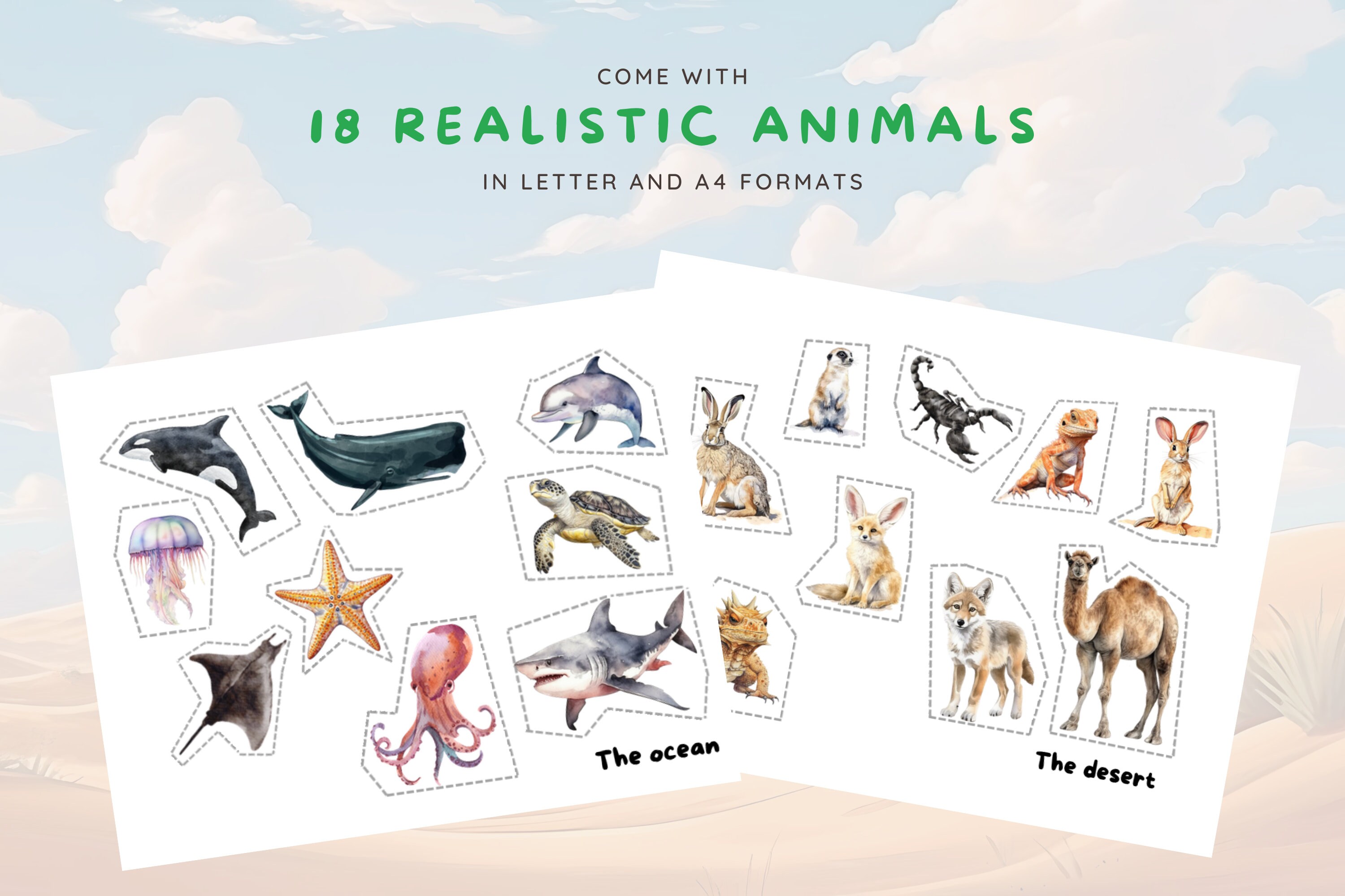 Animal Habitat Game, Matching Game for Toddlers, Ocean and Desert Biome, Fun and Educational