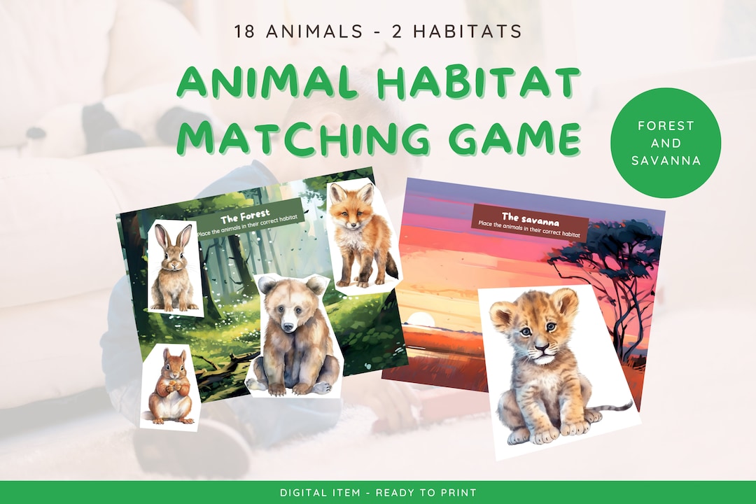 Animal Habitat Game Matching Game for Toddlers Forest and Etsy