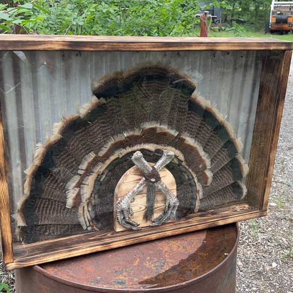 Turkey Mount Box Etsy