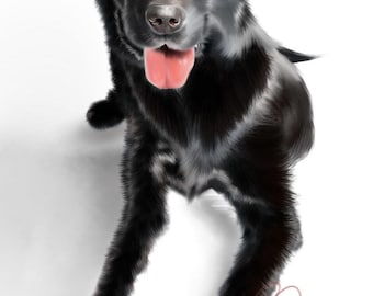 Custom Pet Illustrations (JPG/PDF)