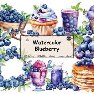 Watercolor Blueberry Clipart – PNG format transparent background instant download for commercial use