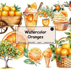Watercolor Oranges Clipart – PNG format transparent background instant download for commercial use