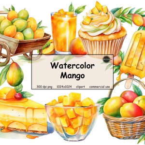 Watercolor Mango Clipart - PNG format transparent background instant download for commercial use