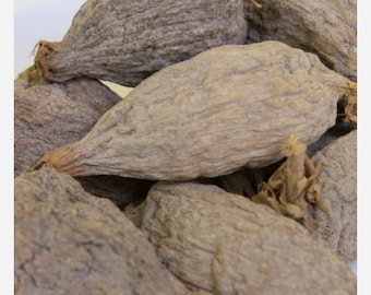 dry alligator pepper 6pieces .