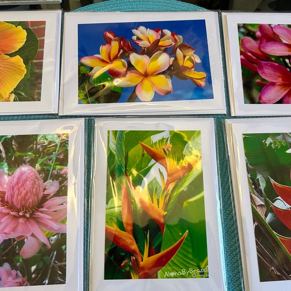 6pk Gorgeous 5x7 Photo Greeting Cards with Envelopes,Blank- Birthday Cards, Thank You Cards, Any Occasion Cards- Tropical Flower Assortment