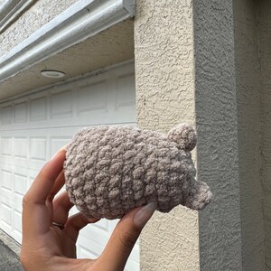 May include: A soft, brown crocheted hat with ear flaps. The hat is made with a fluffy yarn and has a textured, woven design.