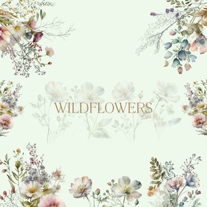 Watercolor Wild Floral Clipart - Wild Flowers Clipart - Wedding Event Floral Clipart - Premade Clipart - Spring Wild Flowers - Flowers - PNG