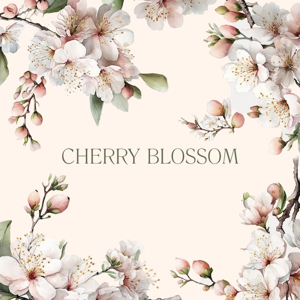 Watercolor Cherry Blossom Floral Clipart - Cherry Blossom Clipart - Premade Wedding Event Floral Clipart - Spring Cherry Blossom - PNG