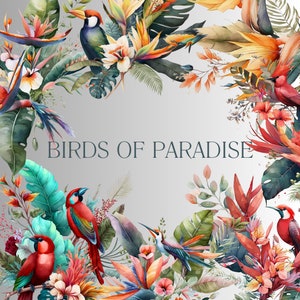 Clipart floreale dell'uccello del paradiso dell'acquerello - Clipart dell'uccello tropicale del paradiso - Clipart floreale multiuso preconfezionato - PNG - Uso commerciale