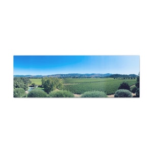 Napa Valley Winery Wall Art, Napa Valley California Wall Decor, Napa Valley Winery Canvas Photography Wall Art, Napa Valley Photography