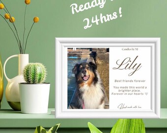 Pet Memorial Digital Print –  Photo Pet Loss Gift - Personalised Printable Sympathy Keepsake