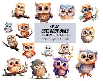 水彩画の赤ちゃんフクロウのクリップアート、商用利用可能なPNGグラフィック（デジタルダウンロード）