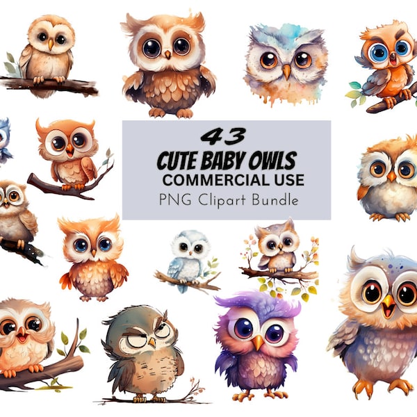 Cute Watercolor Baby Owls, Digital Design Bundle Printable Clip Art Prints Commercial Use, Download Illustration PNG Graphics Crafts Nursery