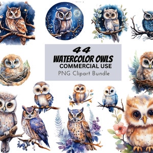 Búhos de acuarela, paquete de diseño digital imprimible Clip Art imprime uso comercial, descargar ilustración PNG gráficos artesanías vivero, bosque