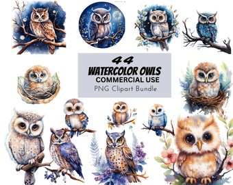 Clipart di gufi ad acquerello, grafica PNG di cuccioli di animali (uso commerciale)