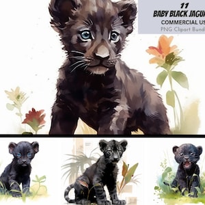 Lindo bebé negro jaguar acuarela clipart paquete, arte imprimible, animal de la selva PNG, uso comercial, descargar gráfico de ilustración, vivero