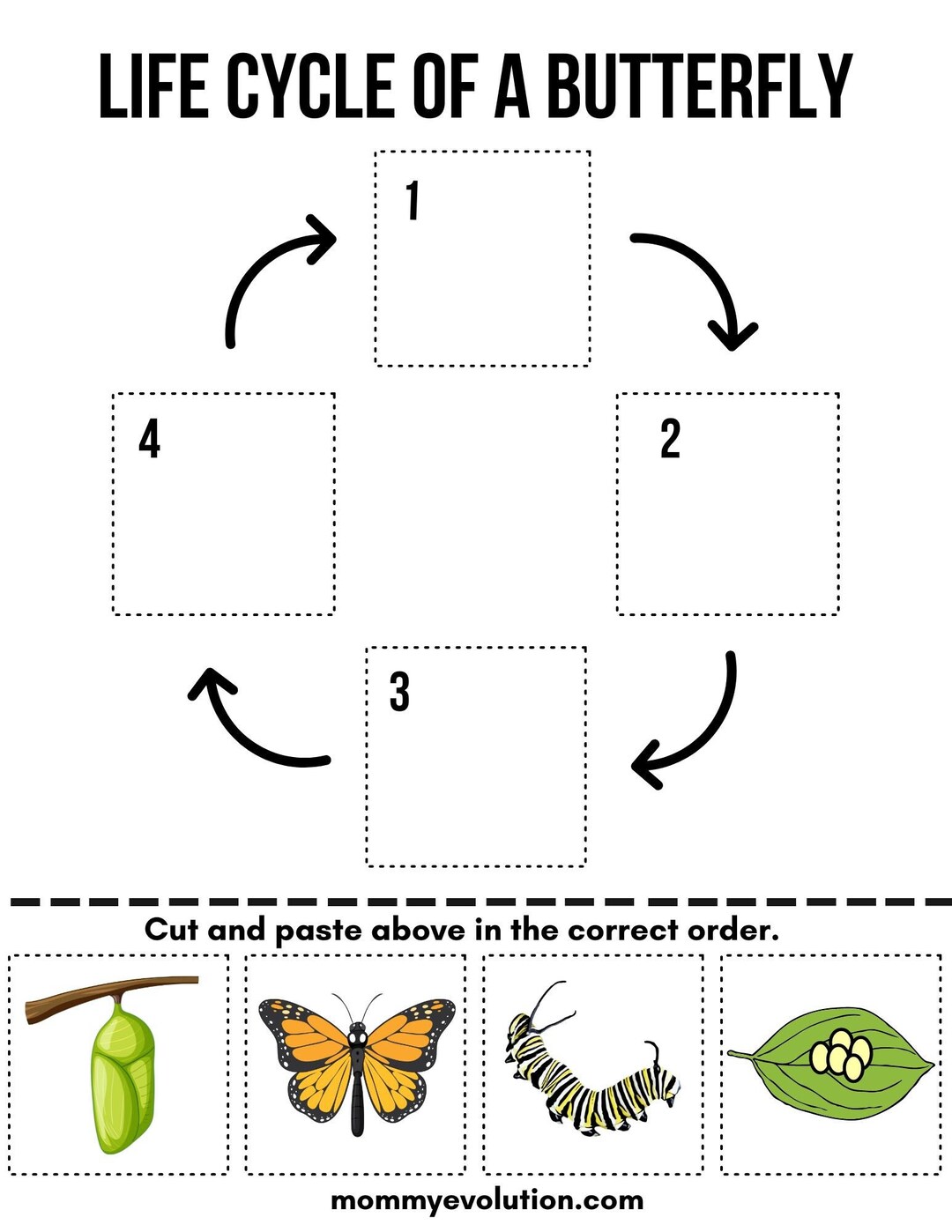Butterly Life Cycle Activity for Kids - Etsy