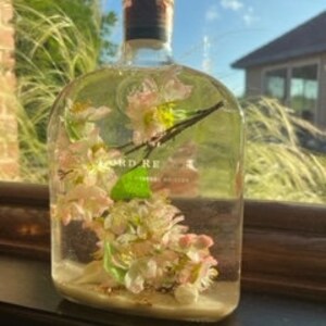 Herbarium Bottles