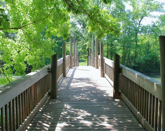 Bridge