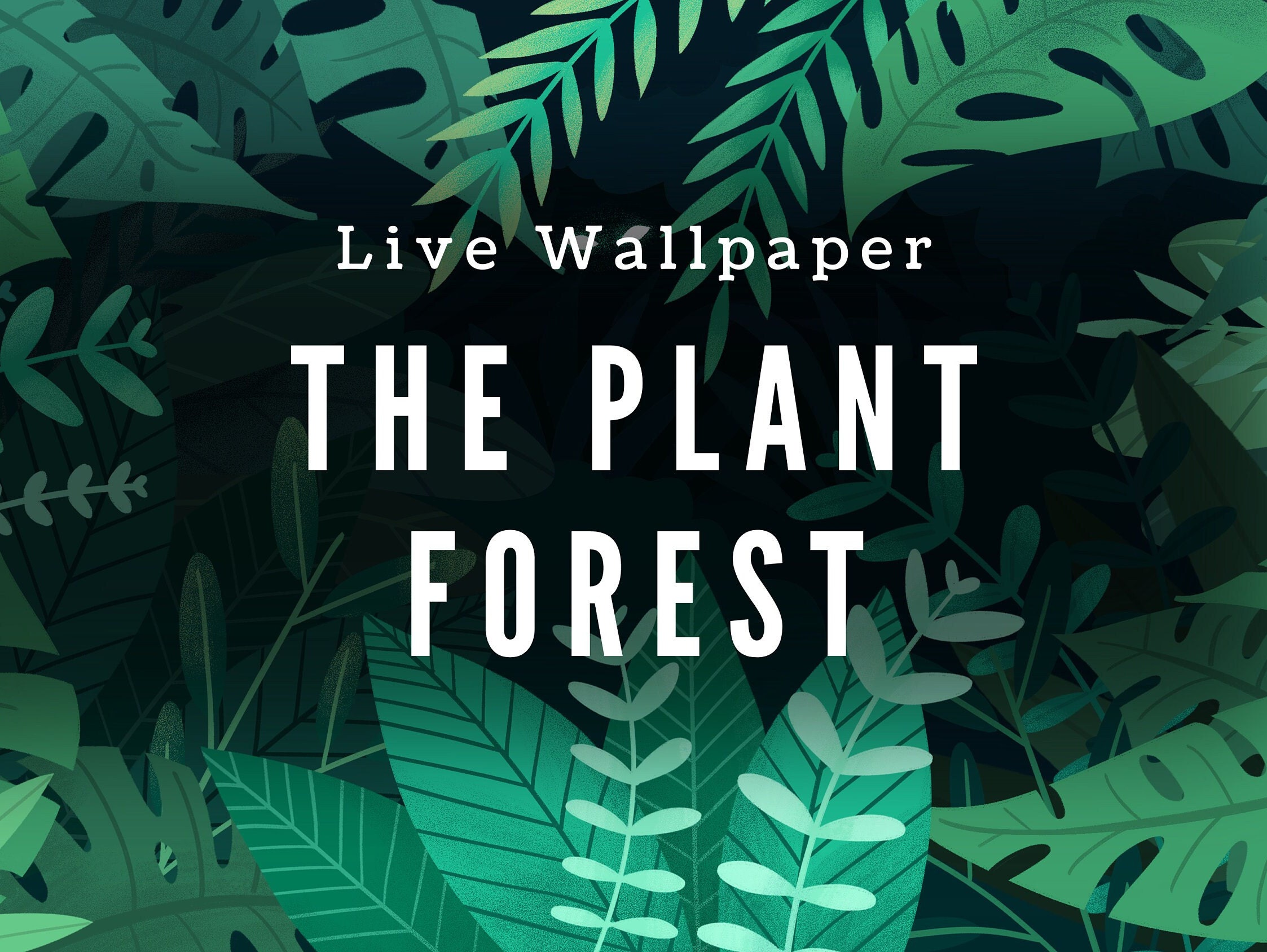Plant Forest Desktop Live Wallpaper Still Image for Macos/windows Etsy