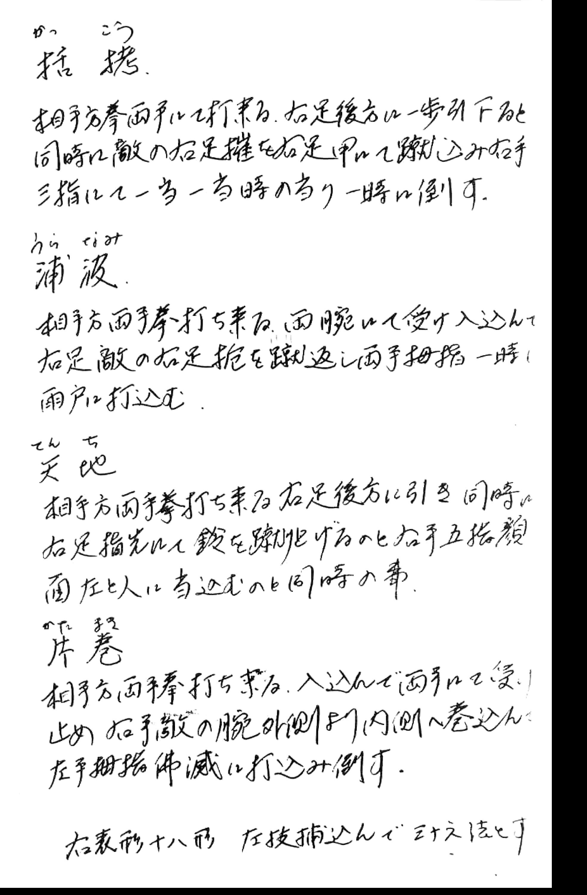 Bujinkan -a Copy of Ishizuka Sensei's Personal Notebook on