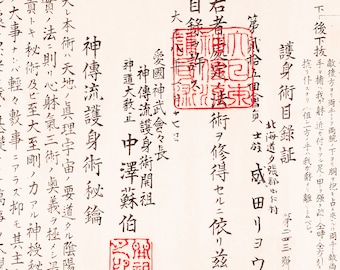 Shinden Ryu Goshinjutsu  神伝流