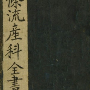 Chujō-ryū (中条流)  Zensho                (digital copy)