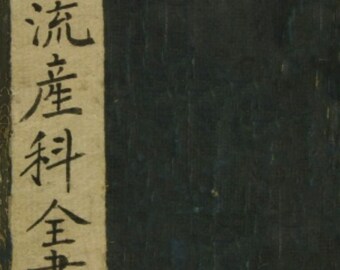 Chujō-ryū (中条流)  Zensho                (digital copy)