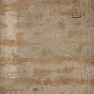 Ninja Torch                            (Digital copy)