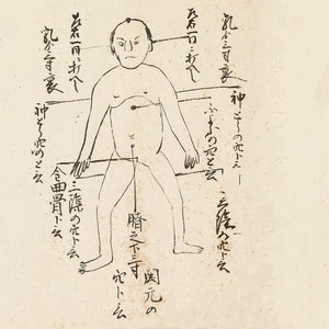 Toda Ryu  scroll    (12 Techniques)                             (Digital copy)