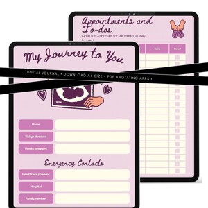 Practical and Easy Pregnany Journey - My Journey to You