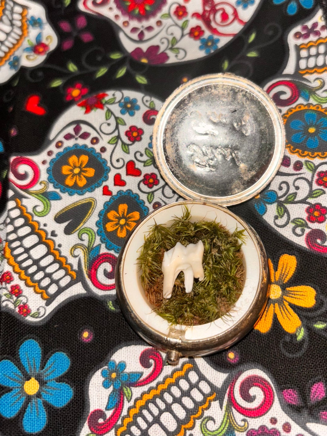 Babys first tooth etsy