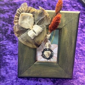 Framed Turtle shell and turtle carapace vertebra oddity bone art