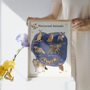 Nocturnal Animals Posters for Homeschool
