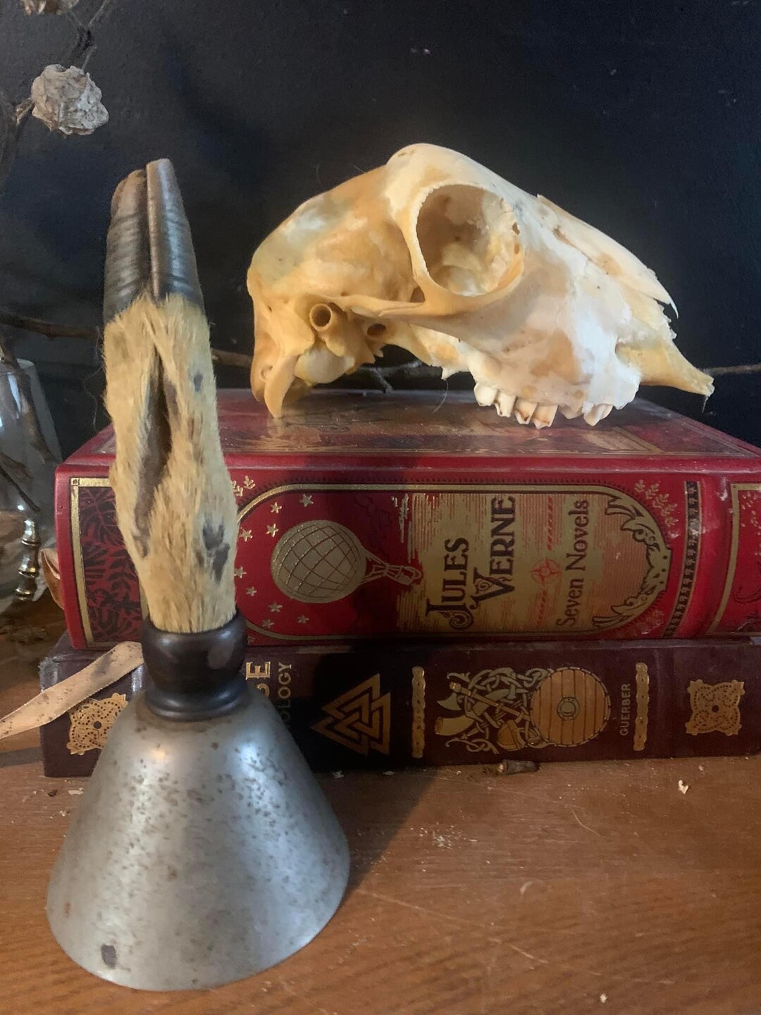 Antique Scottish Pig Foot Bell Taxidermy Curiosity Oddity Farm ...
