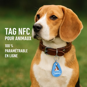 Op de afbeelding: Een bruine en witte beagle-hond met een bruin leren halsband met een blauwe NFC-tag eraan. De tag heeft de tekst "Idées ingénieuses matures" erop. De tekst "TAG NFC POUR ANIMAUX 100% PARAMÉTRABLE EN LIGNE" is zichtbaar op de achtergrond.
