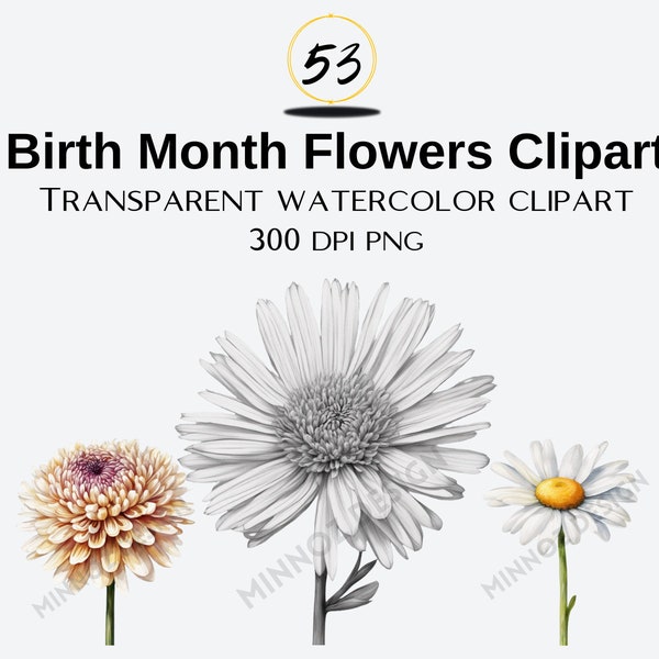 53 Birth Month Flowers Clipart Pack | Birthday flower png | Watercolour Flower Clipart | Birth Flower png Clipart  Gift for mom Gift for her