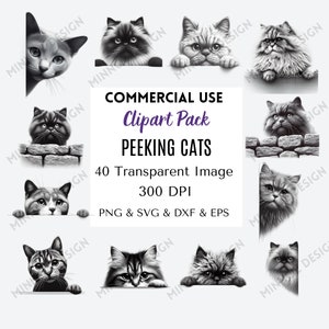 40 Peeking Cats SVG, Peeking Cats Clipart, Transparent PNG SVG, Peeking Cat Silhouette Svg , Instant Download, Commercial Use, 300 Dpi File